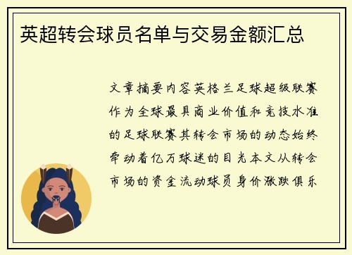 英超转会球员名单与交易金额汇总